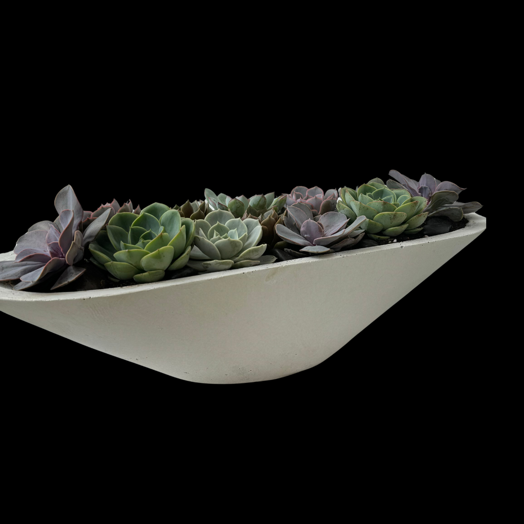 Succulent Planter