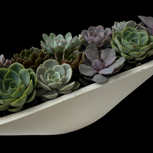 Load image into Gallery viewer, Succulent Planter
