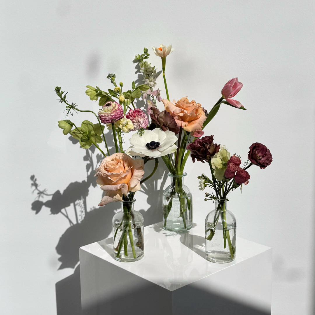 Budvase Trio- Standard