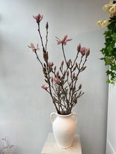 Load image into Gallery viewer, Magnolia Branches - 3 stems
